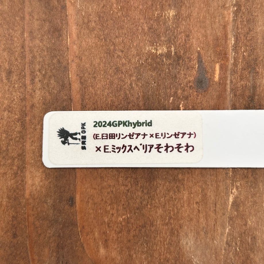 6ad8658894ae26e860e0aad9