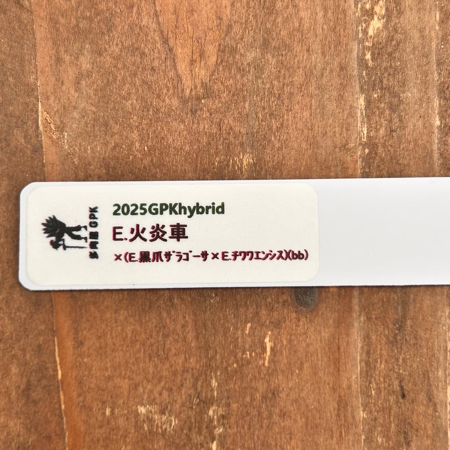 6ad86641e8d8d08ad268f7be