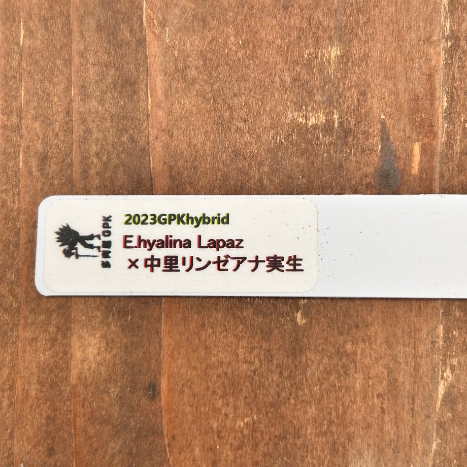 6ad86573fd1e575895d40e61