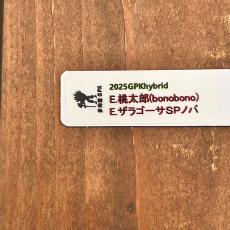 多肉屋ＧＰＫ  オリジナルhyb  ＮＯ１
