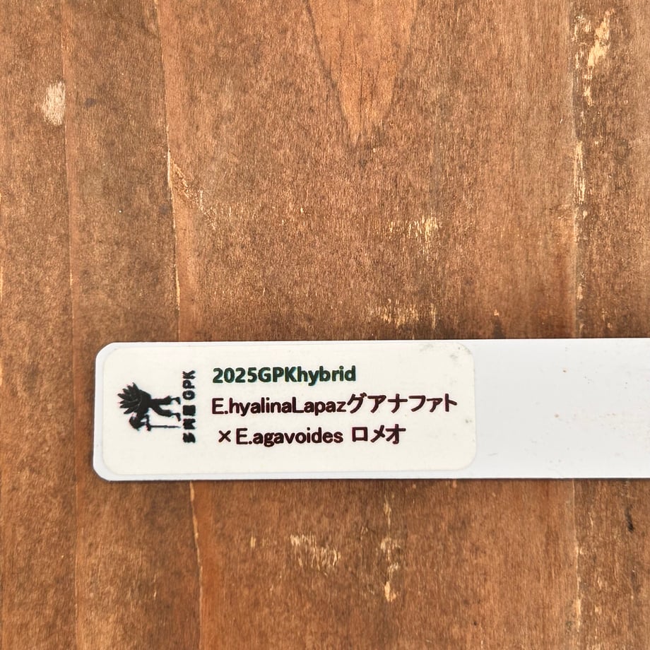 6ad866ea060baf8621411e1c