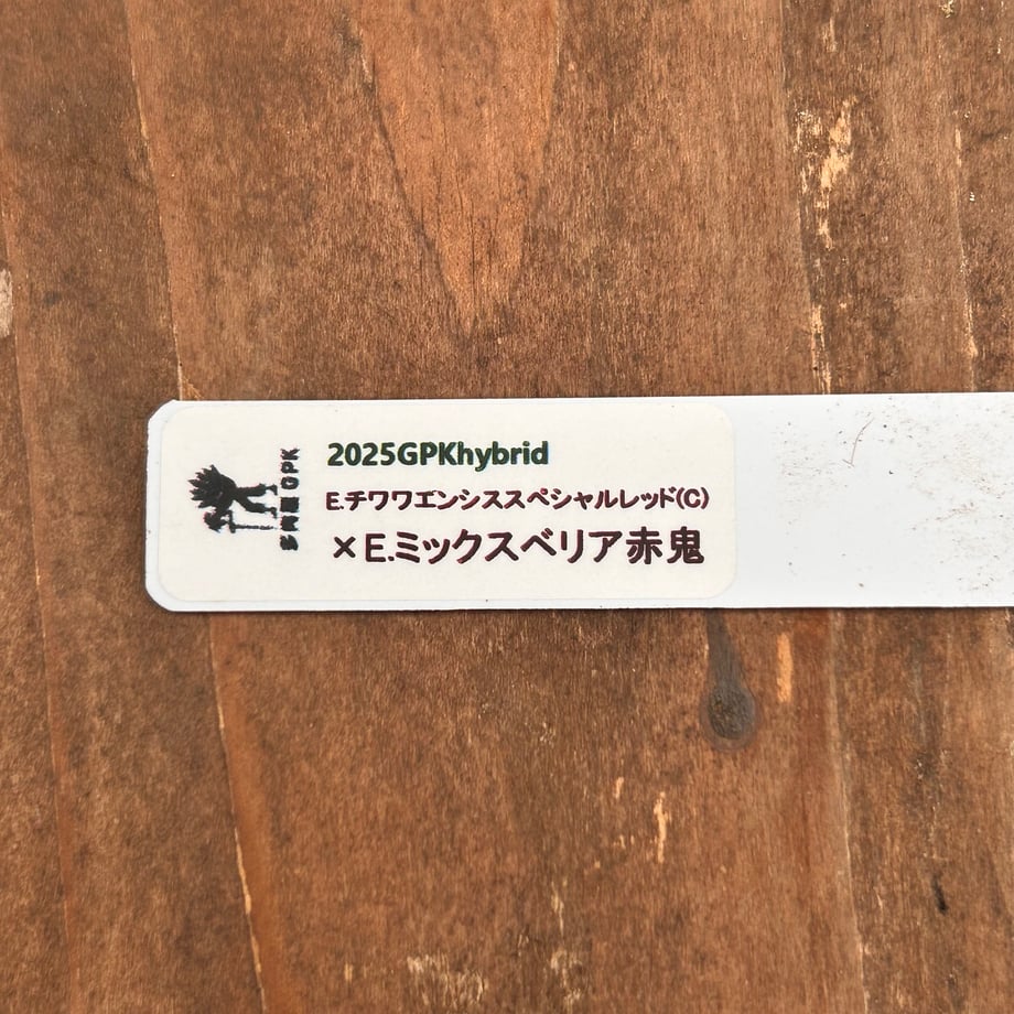6ad86821f7ea546a46ee870b