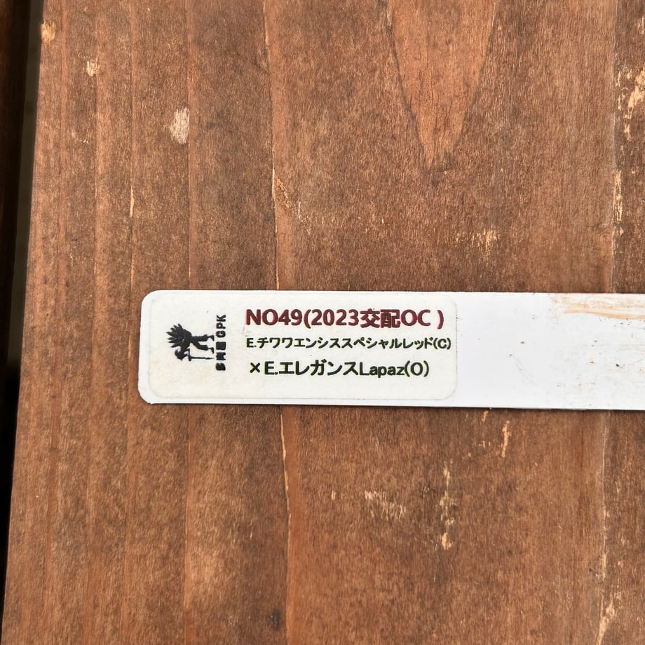 6ad8602cbc31aebc0af8fd74