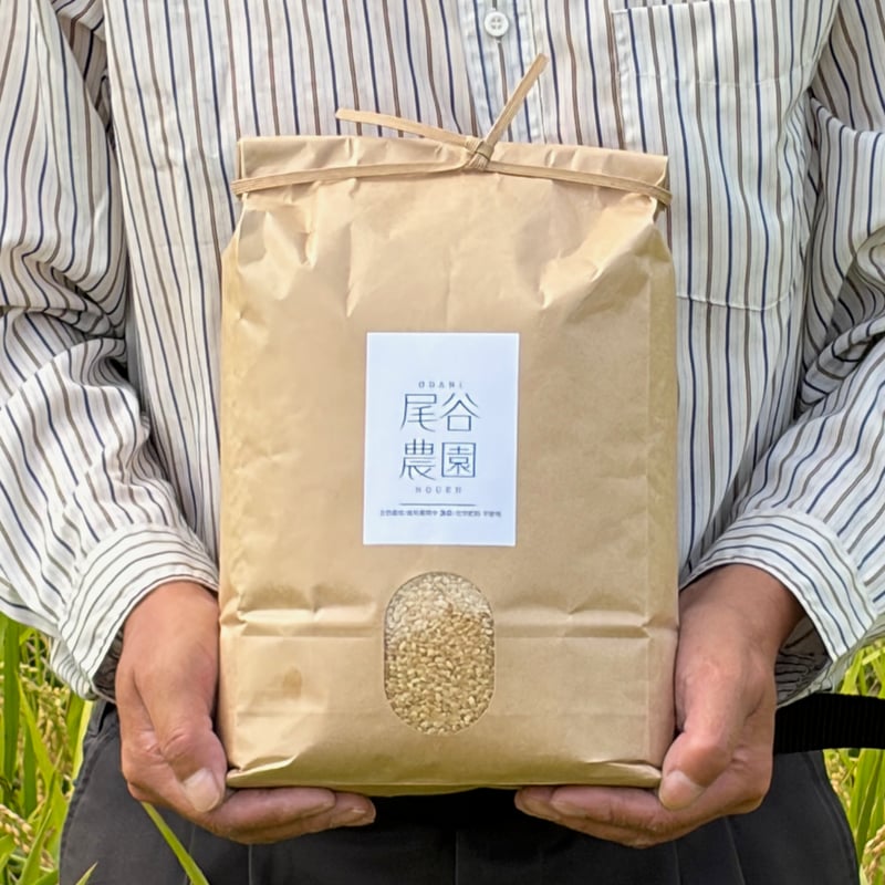 新米・令和8年産】自然栽培コシヒカリ・玄米（10kg）【栽培期間中