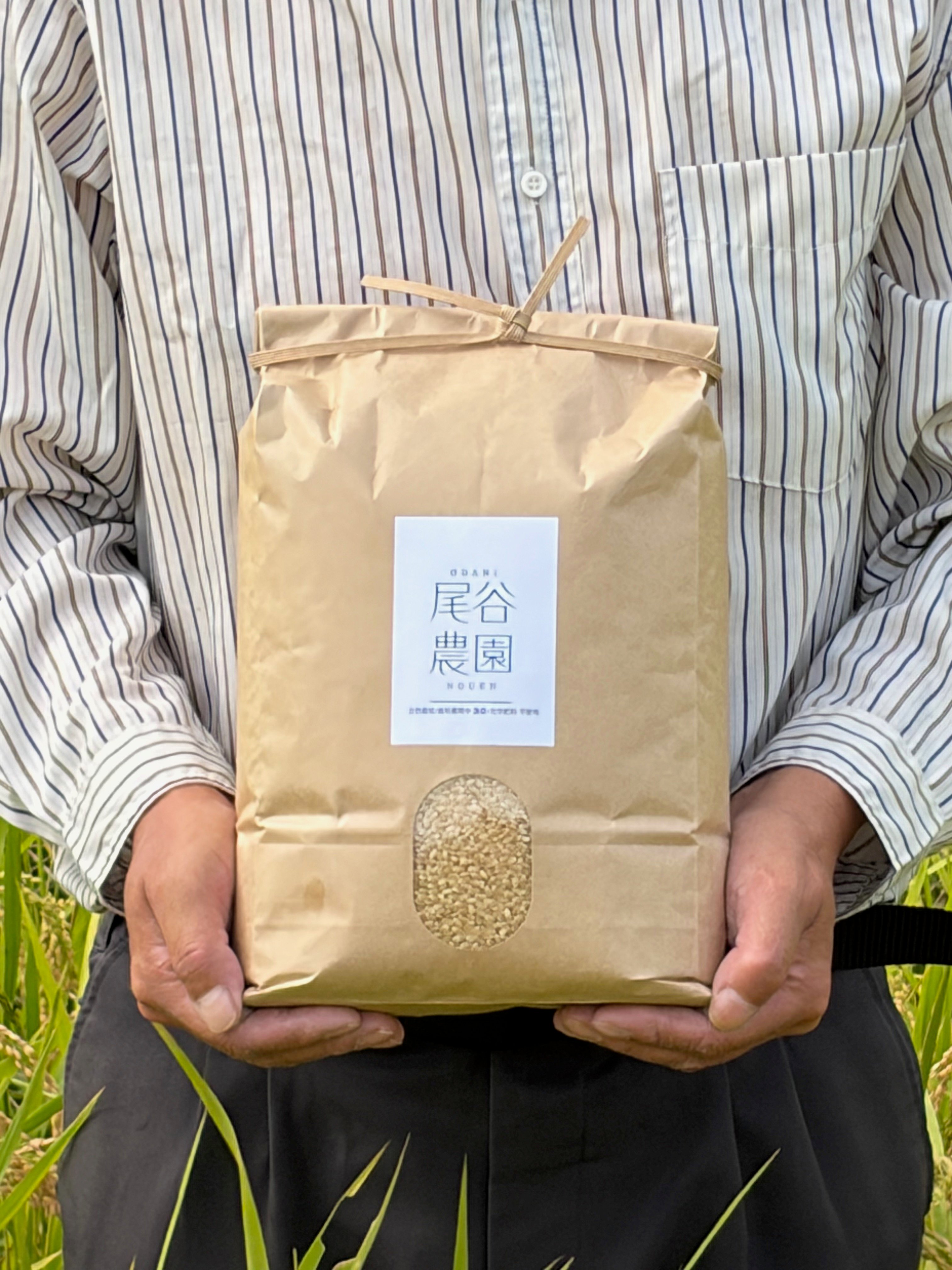 新米・令和8年産】自然栽培コシヒカリ・玄米（10kg）【栽培期間中