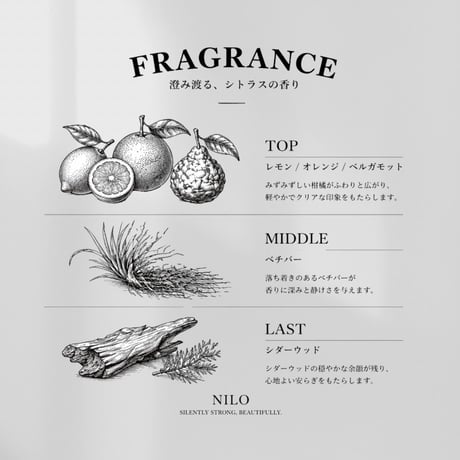 【定期便】高濃度フルボ酸 ACTIVATE SHAMPOO・TREATMENT 300mLセット