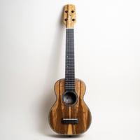 【USED】Seilen SLMT-2250/LTD ミニテナーウクレレ #1927（中古・2025年製）