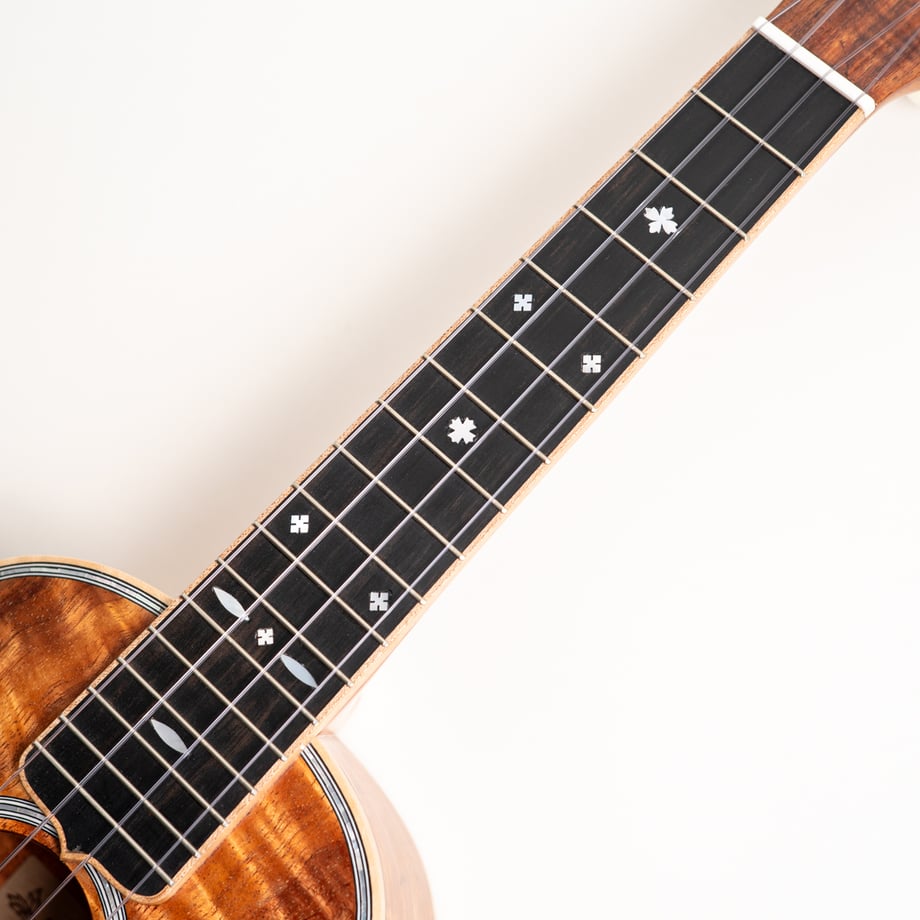 6aa9eda4282b3a1081508e25