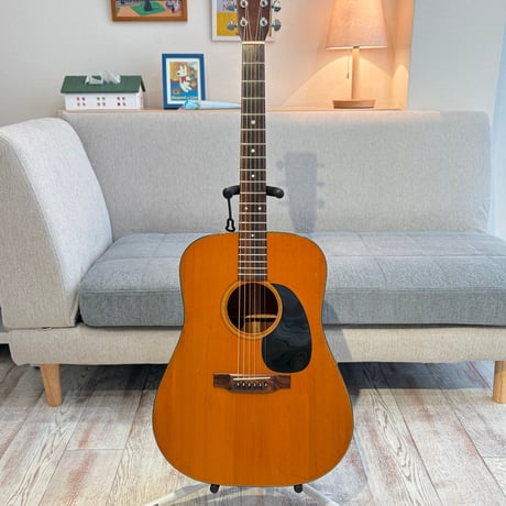 【ヴィンテージ】MARTIN D-18 1972 レアな布製ハードケースカバー付き！/Blue Case