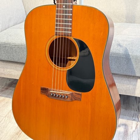 【ヴィンテージ】MARTIN D-18 1972 レアな布製ハードケースカバー付き！/Blue Case