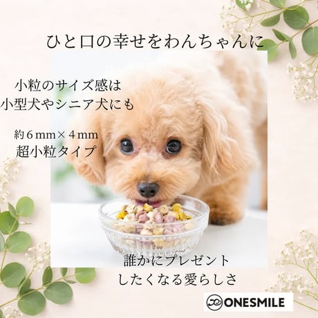 彩りビッツ70g可愛い！ギフトにも | 国産 米粉で作ったクッキー 犬用 手作りおやつ 無添加