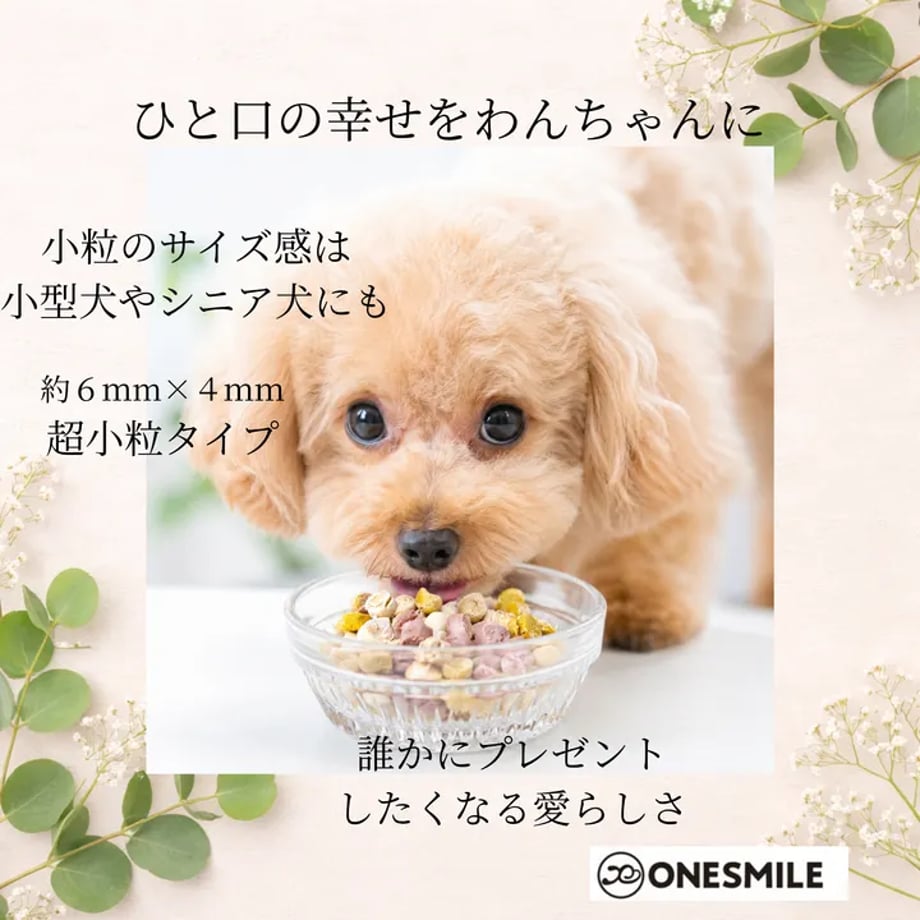 6a6d87242514e8afac87ddb4