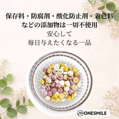 彩りビッツ70g可愛い！ギフトにも | 国産 米粉で作ったクッキー 犬用 手作りおやつ 無添加