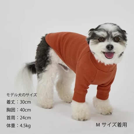 スキンタイトウォームTシャツ   PISTACHIO M