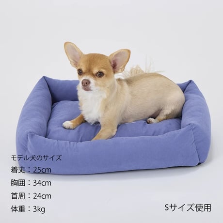 フラットベッド   BLUE GRAY S