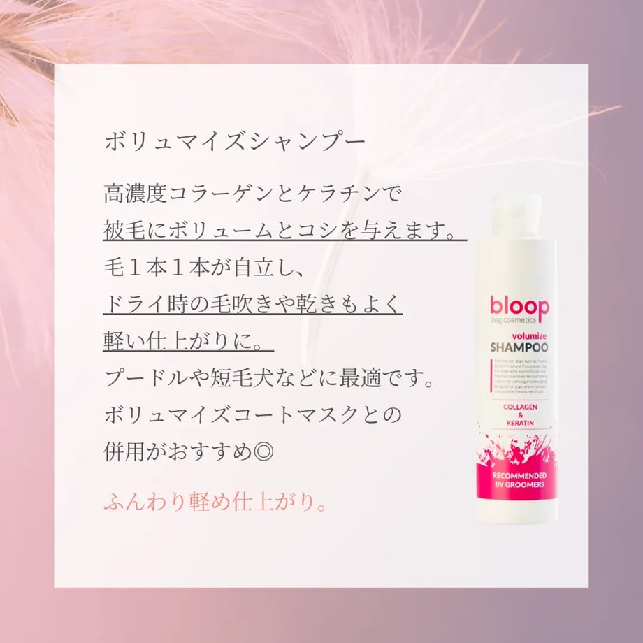 6acdbd891f7161f305bc31a4
