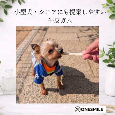 牛皮ガム30ｇ　噛むシンプルケア　｜無添加犬のおやつ　国産牛皮
