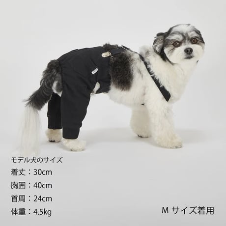 サスペンダーパンツ   BLACK M