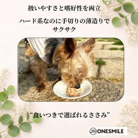鶏ささみステーキ55g ハード系なのにサクサク　希少な薄切りタイプ