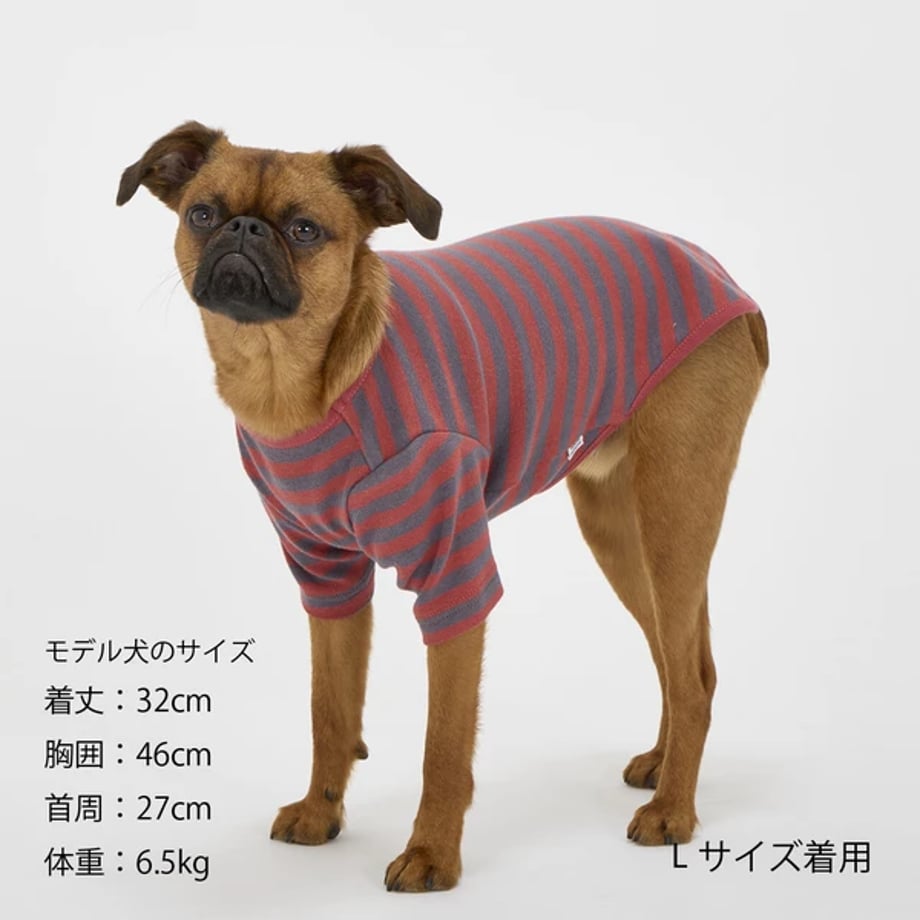 6abb3cb7b5e7cd3b64532846