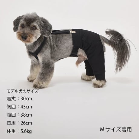 サスペンダーパンツ   BLACK M