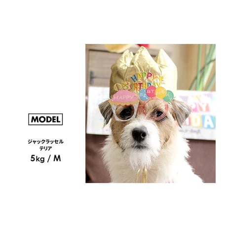 バースデーメガネ   M