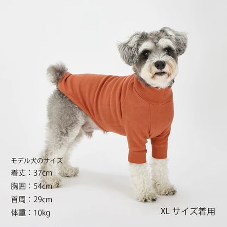 スキンタイトウォームTシャツ    CHARCOAL XL