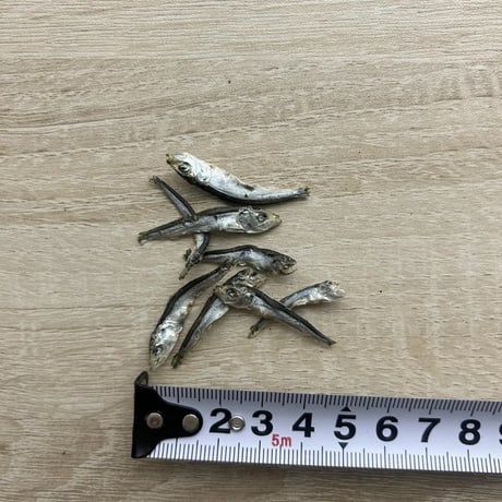 かたくちいわし 30g