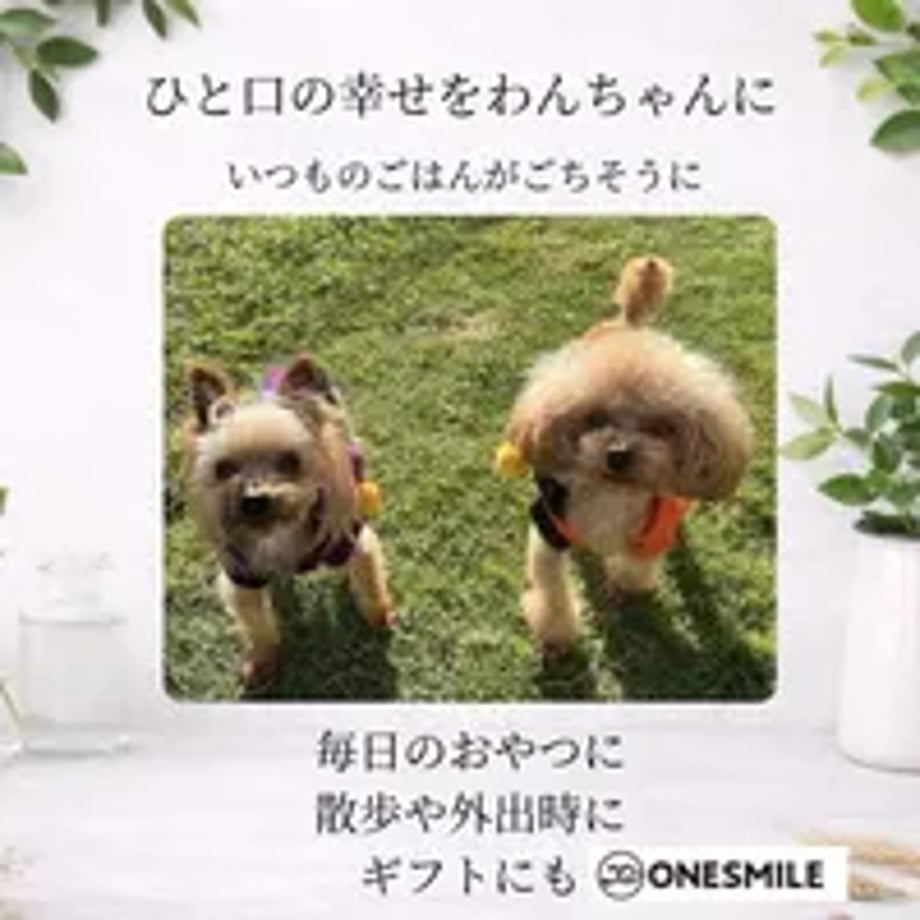 6ab517d1d19505e0c2c76bca