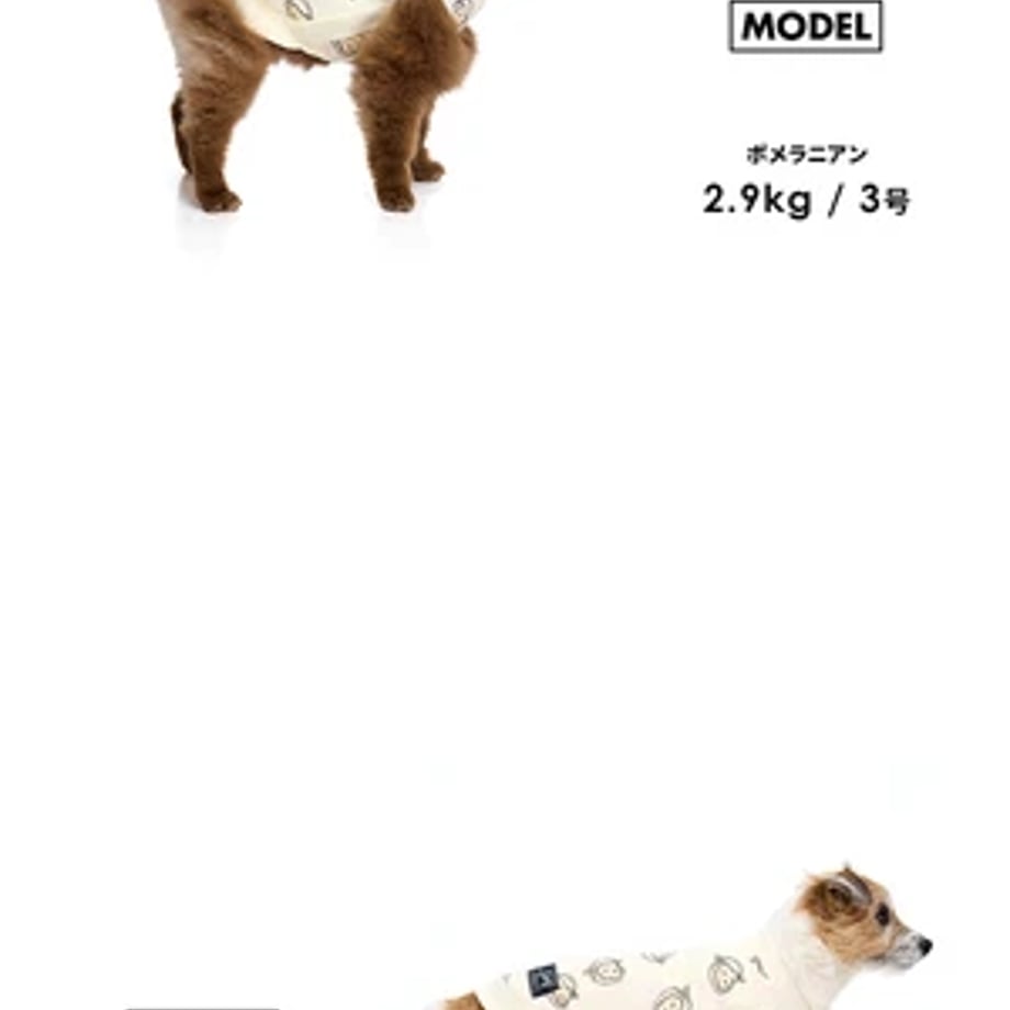 6acedb2030be1f47a5dc7b22