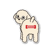 【犬種ステッカー/シール】 Somewoof トイプードル ステッカー クリーム