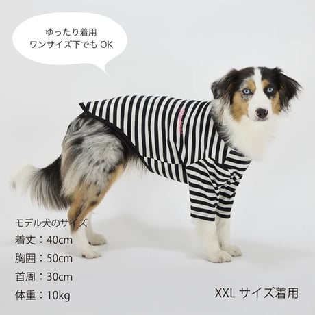 ボーダーTシャツ   CORAL XXL
