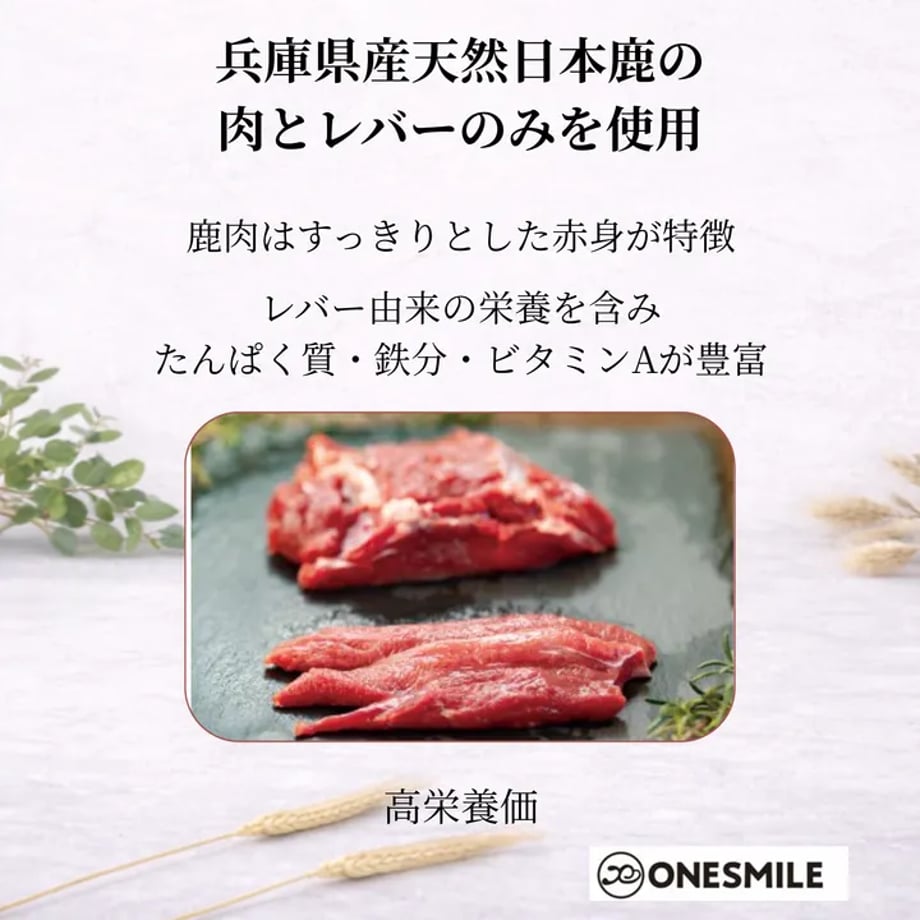 6a6d844e9176655a88547d70