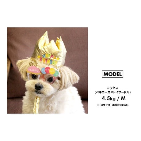 バースデークラウン   M