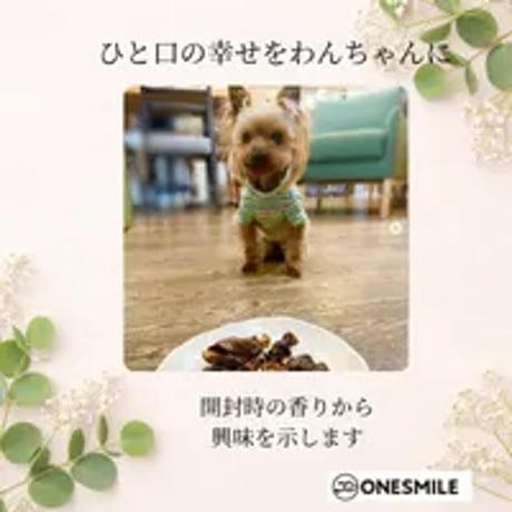 かぼちゃの鹿肉ステーキ巻き13本