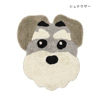 マット 　シュナウザー
