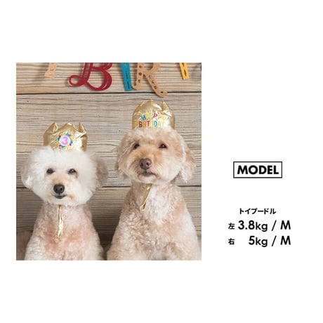 バースデークラウン   M