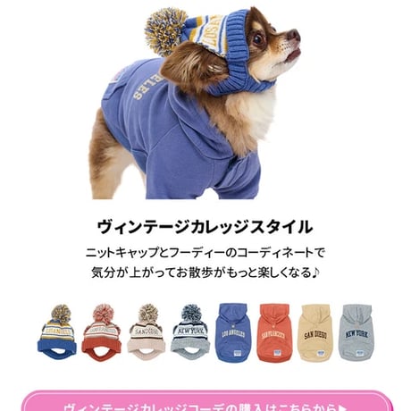 カレッジシティフーディー　ドッグウェア　2号　サンフランシスコ