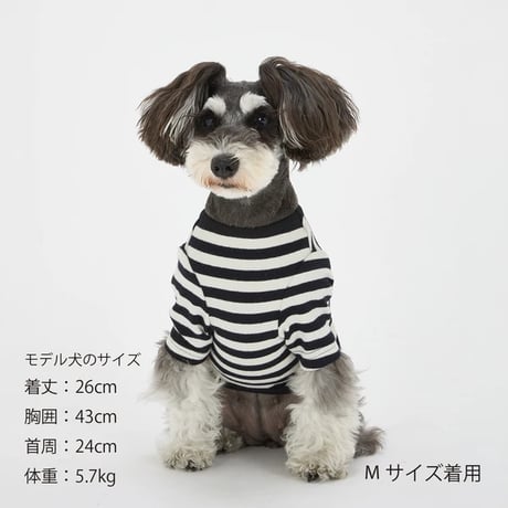 ボーダーTシャツ   BLACK M