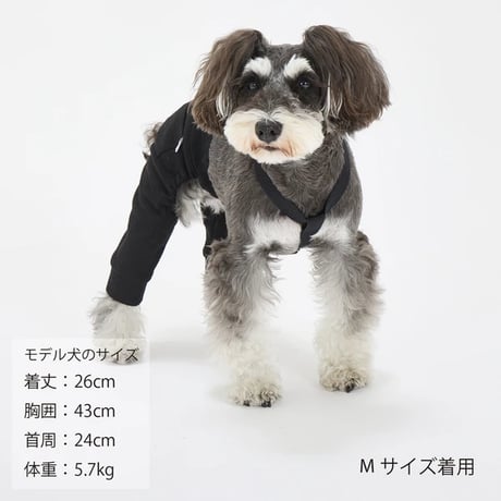 サスペンダーパンツ   BLACK M