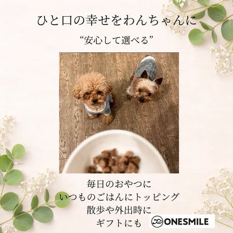 鹿肉トリーツ55ｇ　サクサクで小粒　トレーニングに、おやつに｜2026OMOTENASHI SELECTION受賞 兵庫県産天然日本鹿　犬のおやつ　無添加