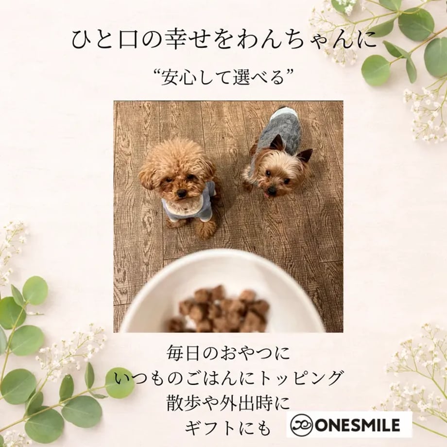 6a6d844e9176655a88547d70