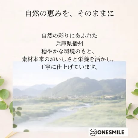 彩りビッツ70g可愛い！ギフトにも | 国産 米粉で作ったクッキー 犬用 手作りおやつ 無添加