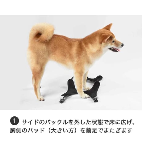 ドッグネス　ハーネス　エレガント　デイジーブラック　XS/S