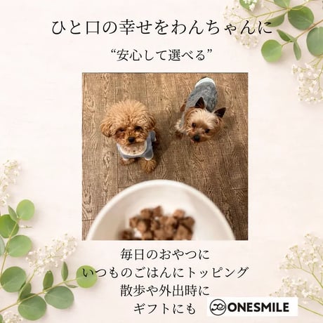 馬肉ビッツ 60g 犬用おやつサクサク機能性ビッツ | 放牧飼育の馬・兵庫県産もち麦｜手作り 無添加