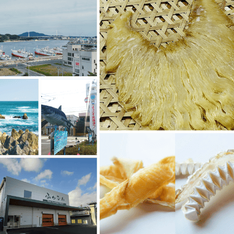 宮城県 気仙沼産 サメ軟骨スティック