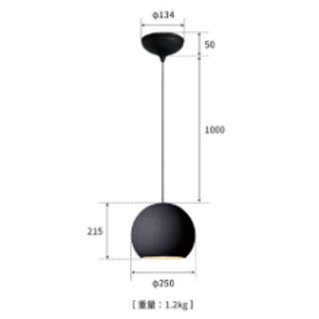セッションダイニングペンダント　Largeタイプ E26/100W相当 G形LED電球付