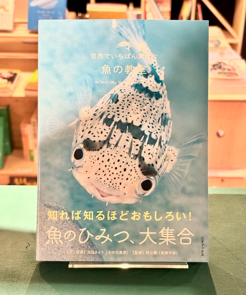 世界でいちばん素敵な魚の教室 (文・写真 古見きゅう / 監修 林公義