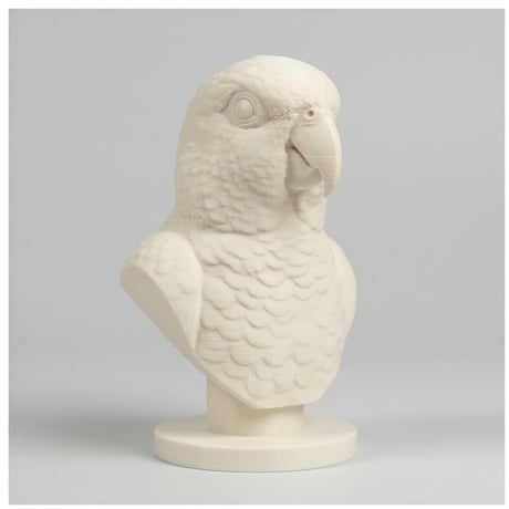 インコ（シロハラインコ）の3Dプリント胸像 白PLA 彫刻 置物 インテリア