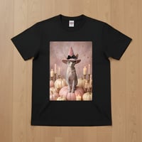 猫（スフィンクス）半袖Tシャツ ハロウィン限定 ブラック 男女兼用